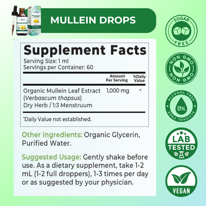 Mullein Drops - Clear Lungs