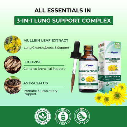 Mullein Drops - Clear Lungs